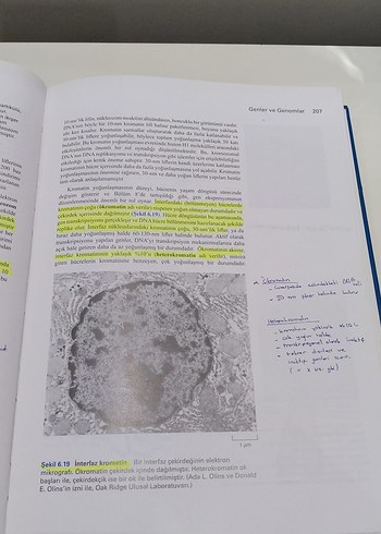 Beden Hücre Moleküler Yaklaşım 7.Baskı