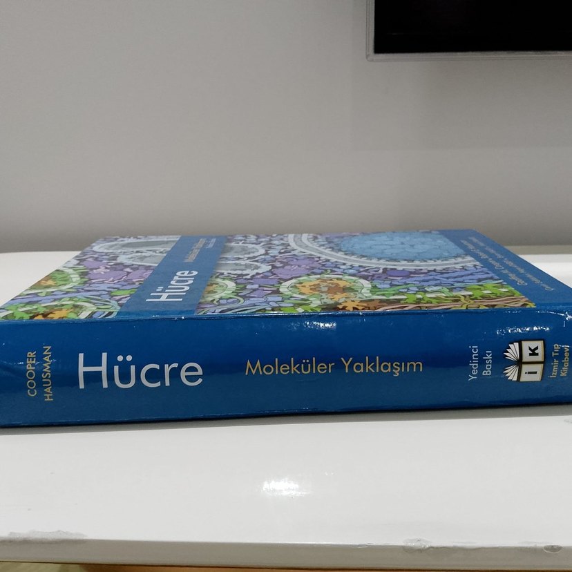 Hücre Moleküler Yaklaşım 7.Baskı - Görsel 2
