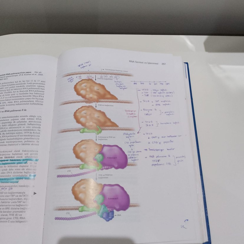 Hücre Moleküler Yaklaşım 7.Baskı - Görsel 5