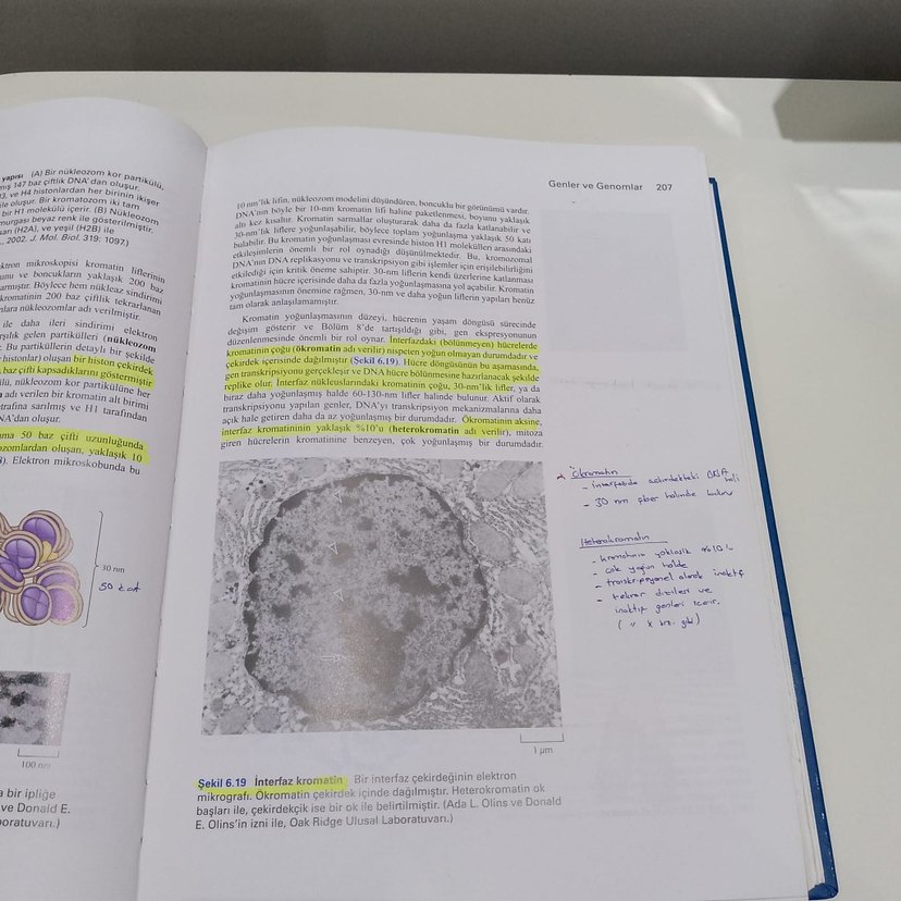 Hücre Moleküler Yaklaşım 7.Baskı - Görsel 3