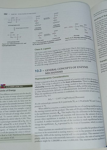 Biyokimya Ders Kitabı - Thomas M. Devlin - Görsel 5