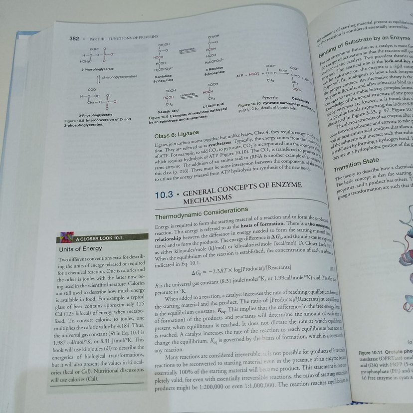 Biyokimya Ders Kitabı - Thomas M. Devlin - Görsel 5