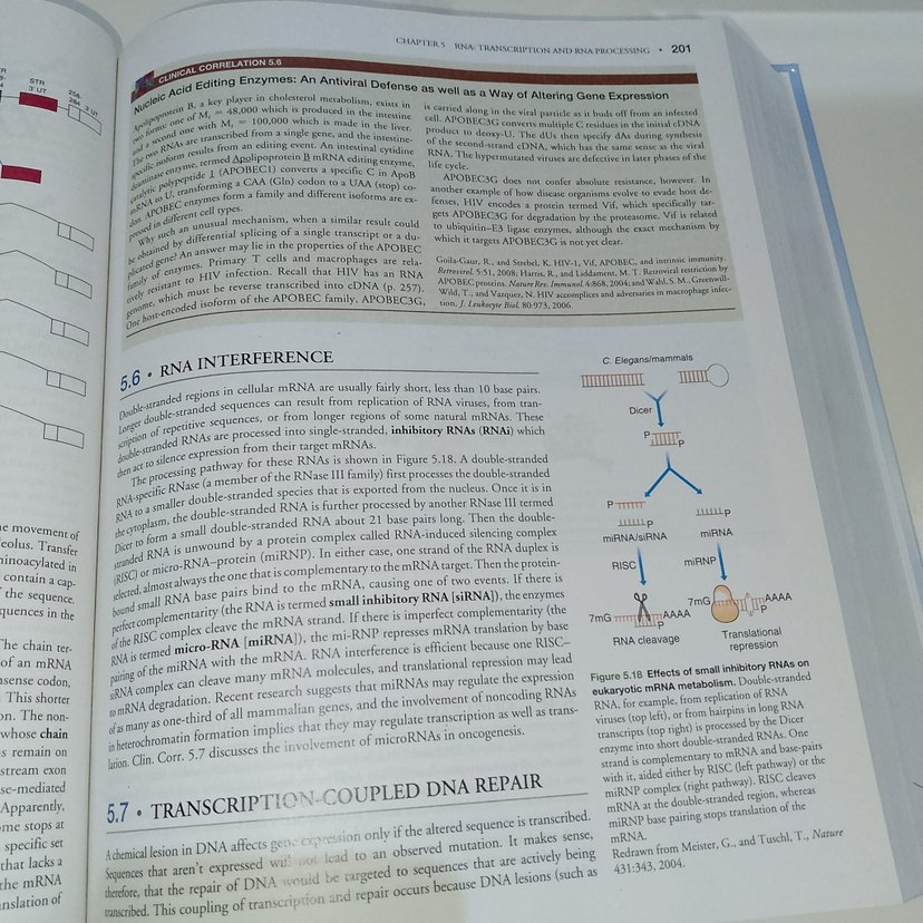 Biyokimya Ders Kitabı - Thomas M. Devlin - Görsel 4