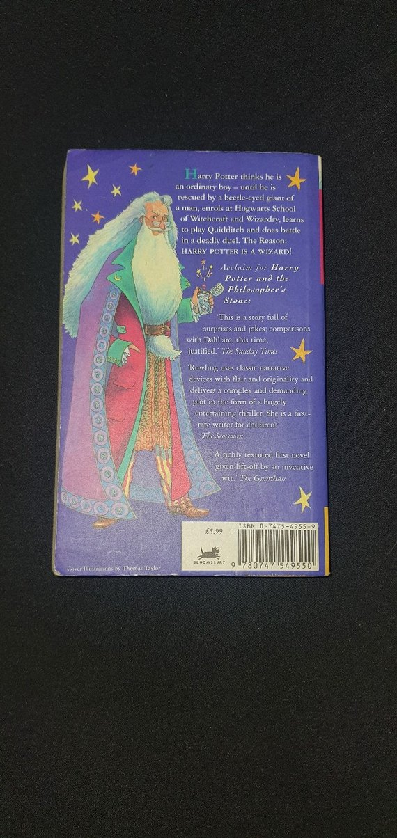 Harry Potter ve Felsefe Taşı - Görsel 2