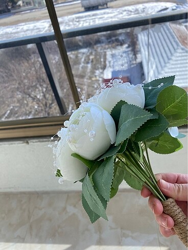 Beden beyaz Renk Beyaz gelin çiçeği