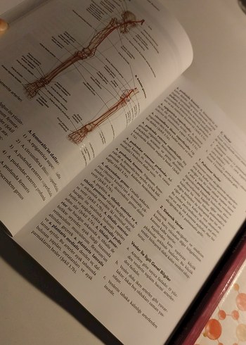  Temel Anatomi Kitabı - Sağlık Bilimleri İçin
