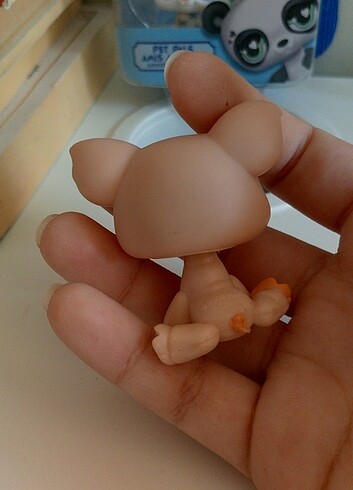  lps domuz minis