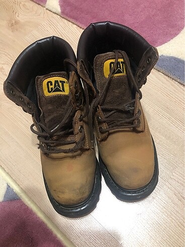 Cat bot