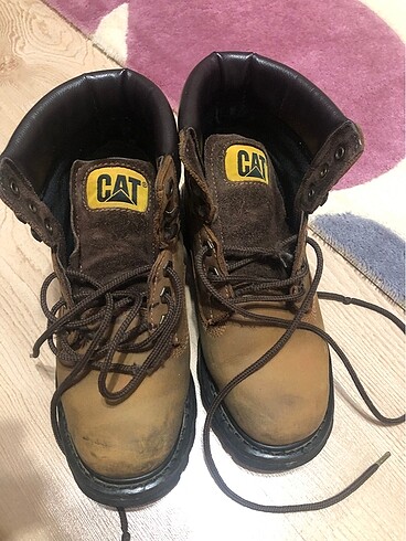 37 Beden camel Renk Cat bot