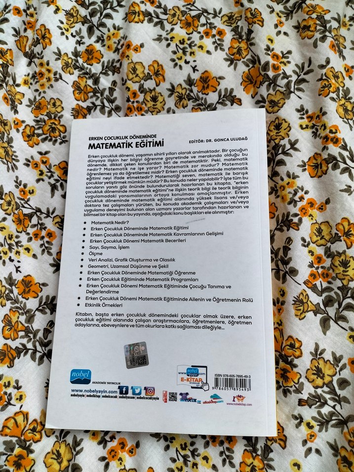 Erken Çocuklukta Matematik Eğitimi Kitabı - Görsel 2