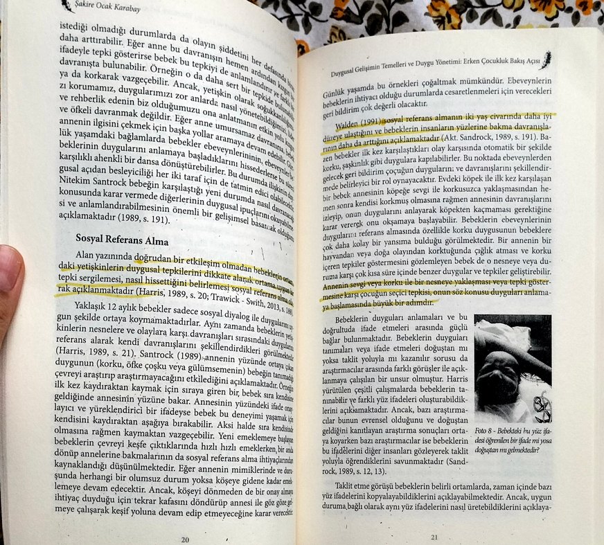 Duygusal Gelişimin Temelleri ve Duygu Yönetimi - Görsel 3