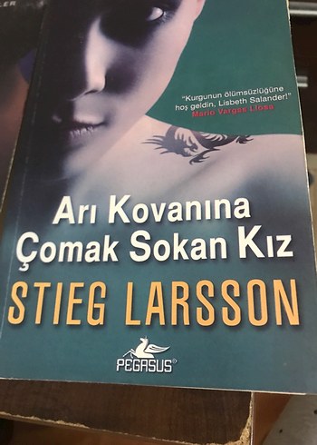 Arı Kovanına Çomak Sokan Kız - Stieg Larsson