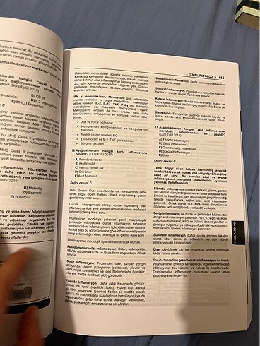  Beden Renk Tüm Dus soruları