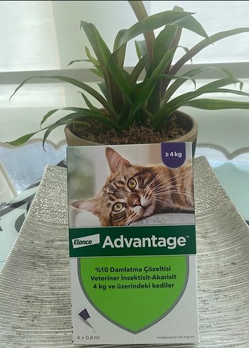 Elanco Advantage 4 kg Üzeri Kediler İçin %10 Damlatma Çözeltisi