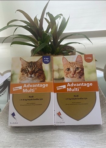 Advantage Multi Kedi Paraziter Tedavi Seti