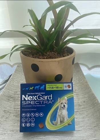 NexGard Spectra Köpek İlacı 7,5-15 kg