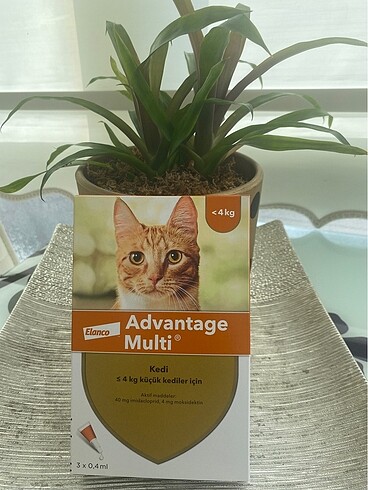  Kedi ürünleri
