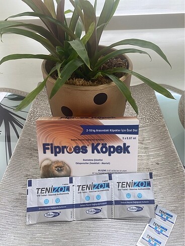 Köpek ürünleri
