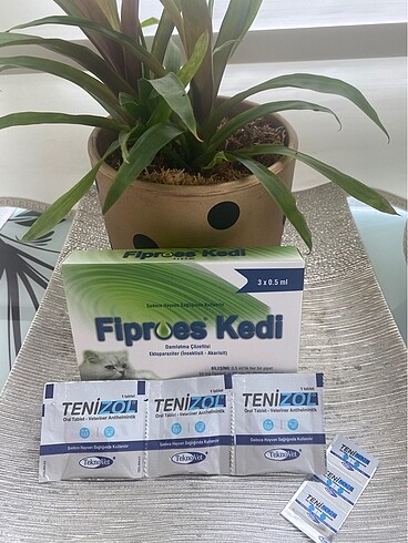 Kedi ürünleri