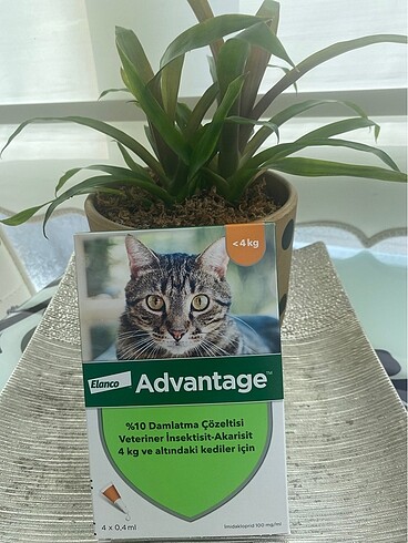 Kedi dış parazit damlası