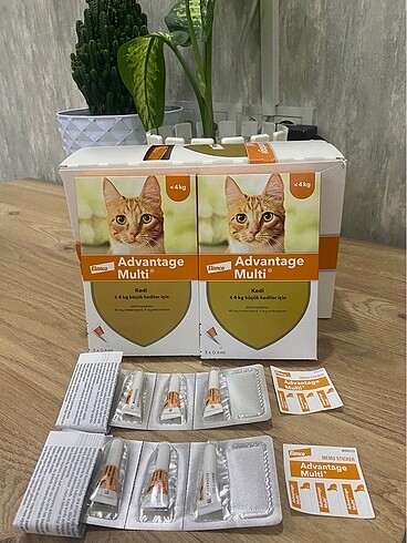 Kedi iç dış parazit