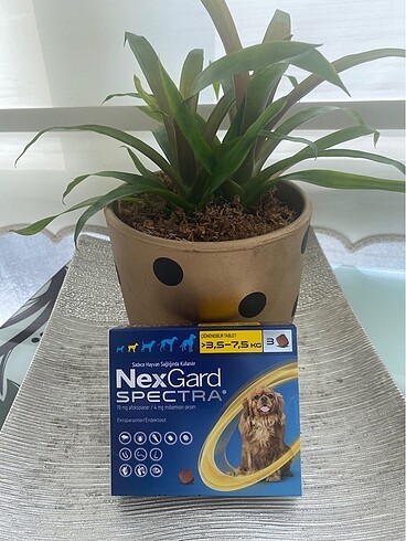 Köpek iç dış parazit tablet