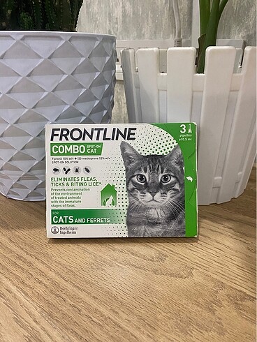 Frontlıne dış