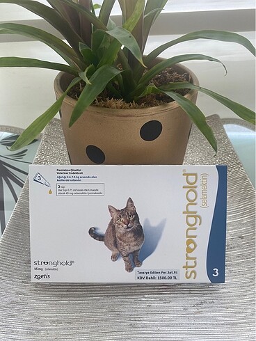 Stronghold Kedi pire damlası