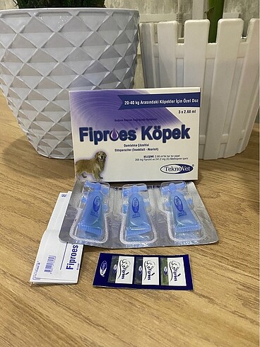 Fibroes Köpek dış parazit