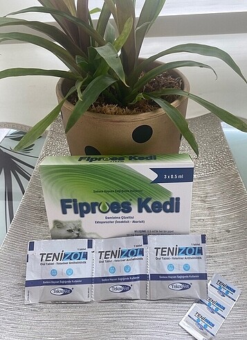 Fibroe Kedi iç dış parazit