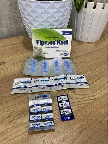 Fibroes kedi