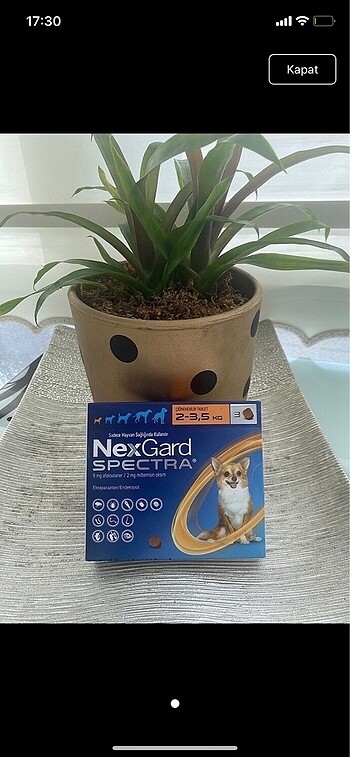 Nexs gard spectra