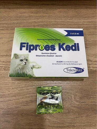 Kedi iç dış parazit