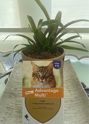 Adwantage multi iç dış parazit