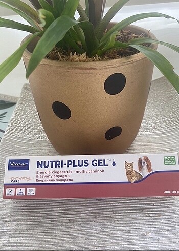 Nutrı plus gel