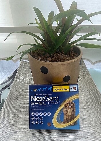 Köpek iç dış parazit bit pire tableti