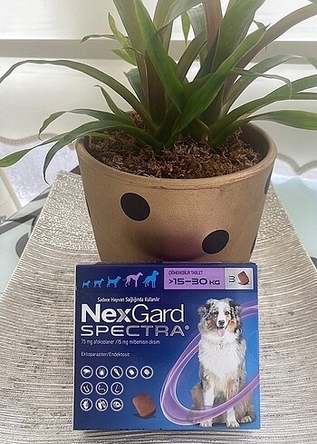 Köpek iç dış parazit bit pire kene bv.