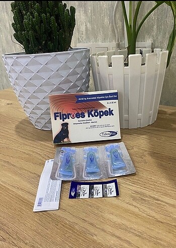 Fibroes köpek dış parazit