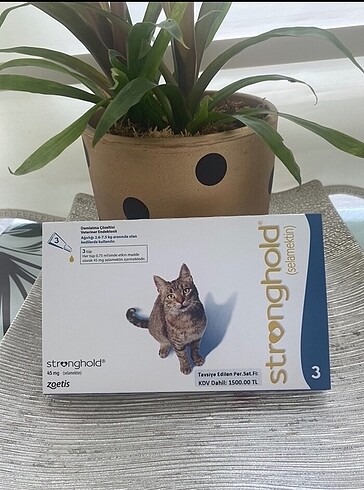 Stronghold kedi iç dış parazit