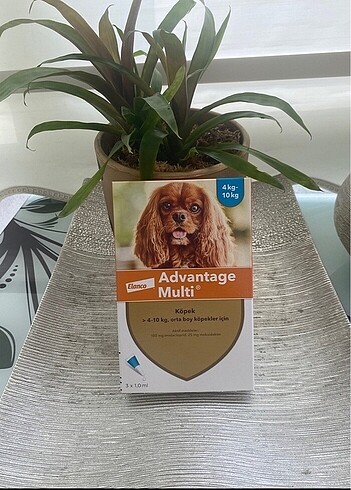 Adwantage multi iç dış parazit