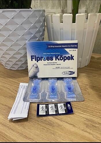 Fibroes köpek dış parazit