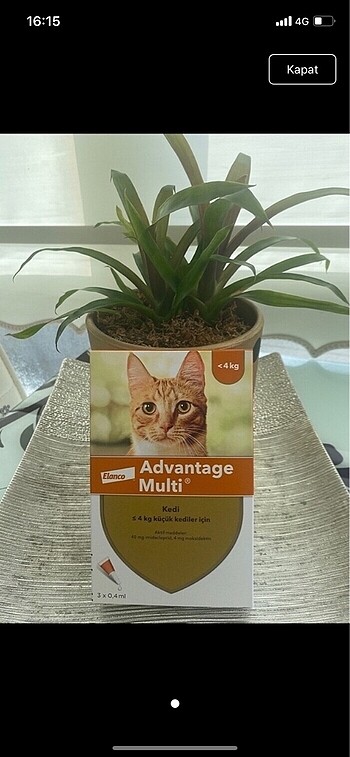 Adwantag kedi iç dış parazit