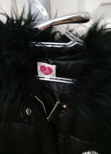 38 Beden Montt
