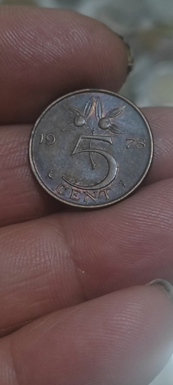 Vintage Parlak Kahverengi Erkek Rozeti - Görsel 2