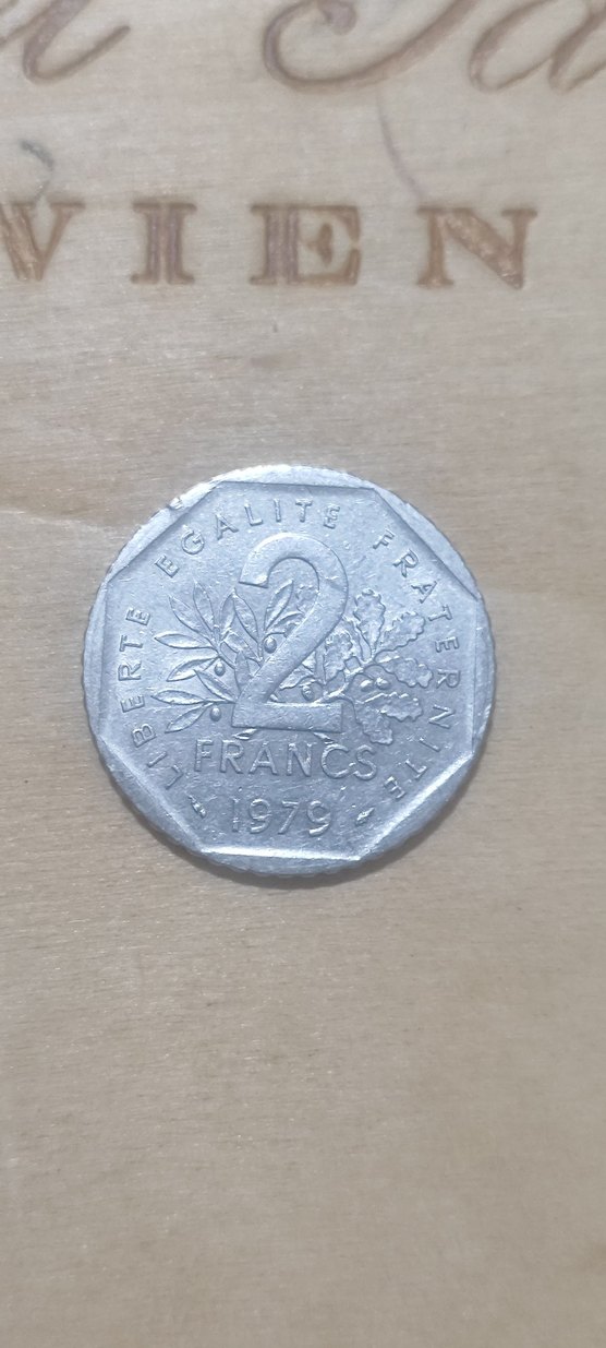 Gri Fransız Temalı Erkek Rozeti - Görsel 2