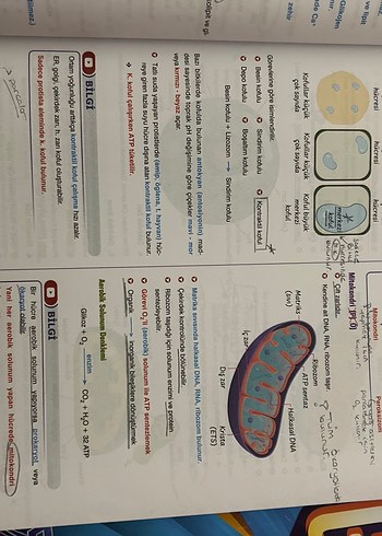 TYT GARANTİ FKB PARAF YAYINLARI - Görsel 5