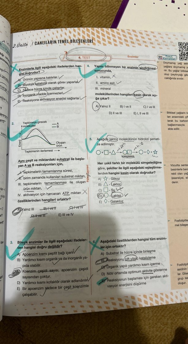 Palme TYT Biyoloji Soru Bankası - Görsel 3