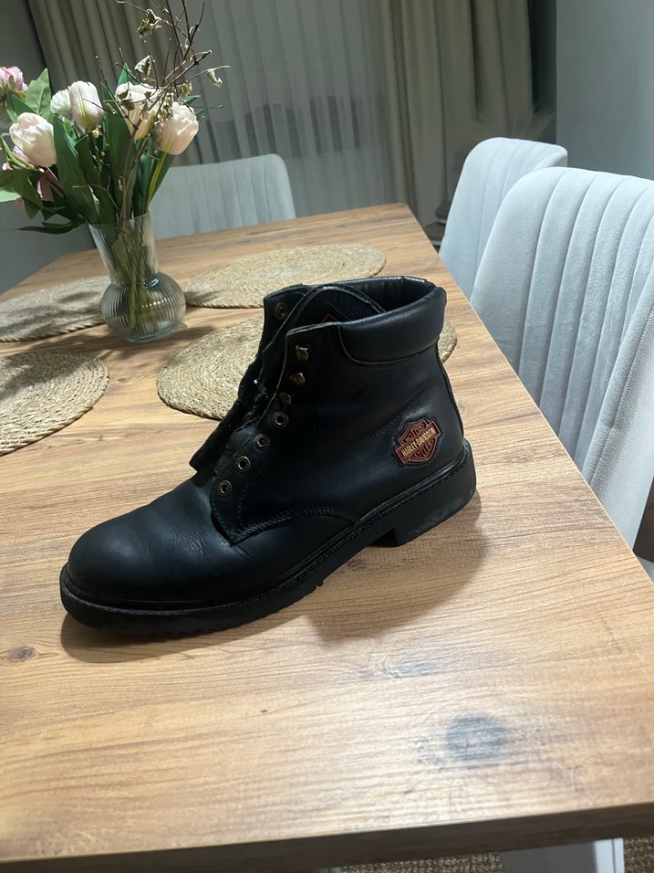 Harley iyi durumda erkek bot - Görsel 4