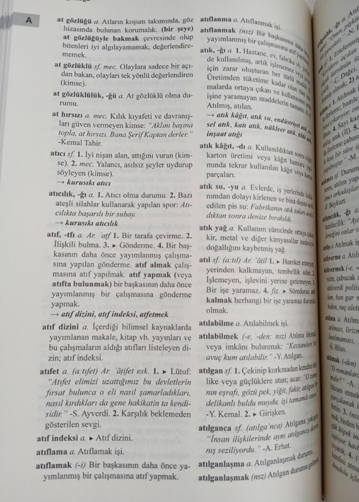 TDK Türkçe Sözlük  - Görsel 3