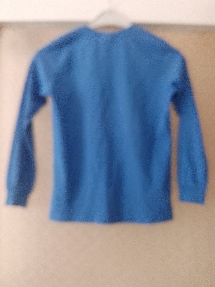 Mavi Kapüşonlu Erkek Sweatshirt - Görsel 2